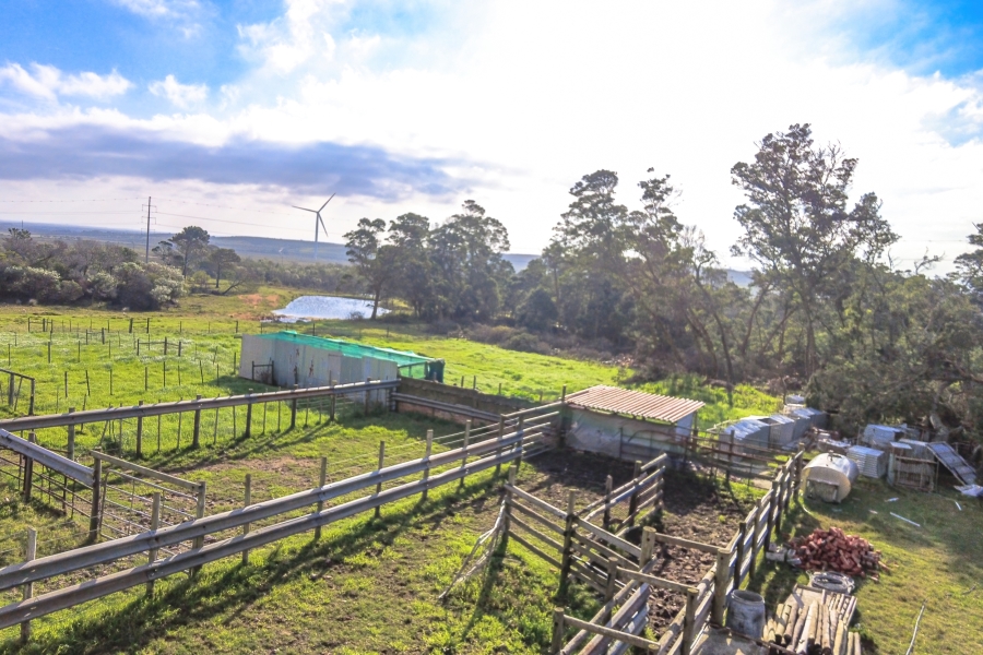 0 Bedroom Property for Sale in Humansdorp Rural Eastern Cape